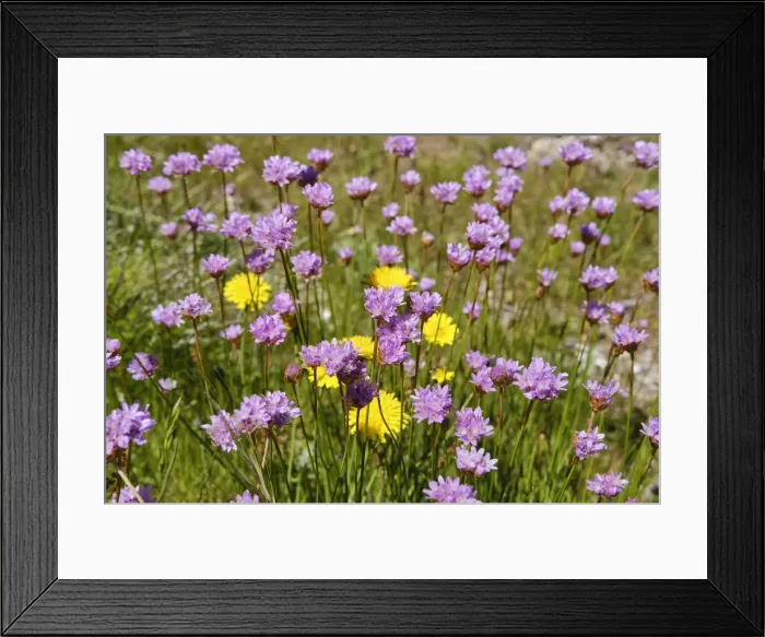 Framed Print : Spring in the mountains. Piodao, Portugal Framed Print : Spring in the mountains. Piodao, Portugal
