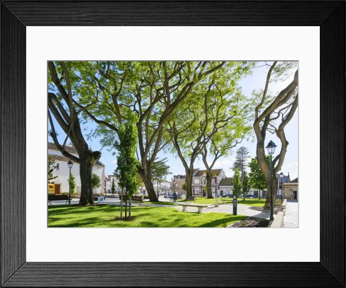 Framed Print : A municipal garden in Alcochete. Portugal Framed Print : A municipal garden in Alcochete. Portugal