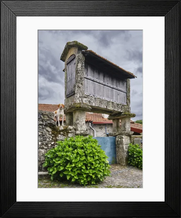 Framed Print : A traditional granary (espigueiro) at Bucos. Cabeceiras de Basto, Minho. Portugal Framed Print : A traditional granary (espigueiro) at Bucos. Cabeceiras de Basto, Minho. Portugal