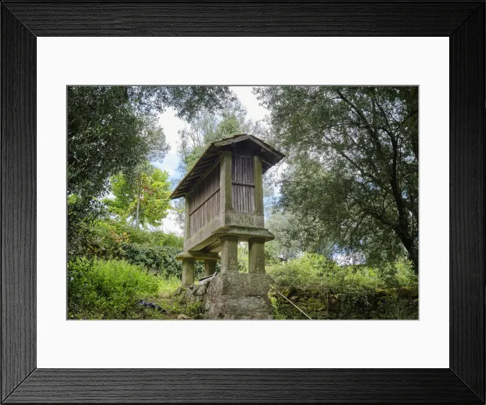 Framed Print : A traditional granary (espigueiro) to store the corn away from the mice. Agunchos, Cerva Framed Print : A traditional granary (espigueiro) to store the corn away from the mice. Agunchos, Cerva