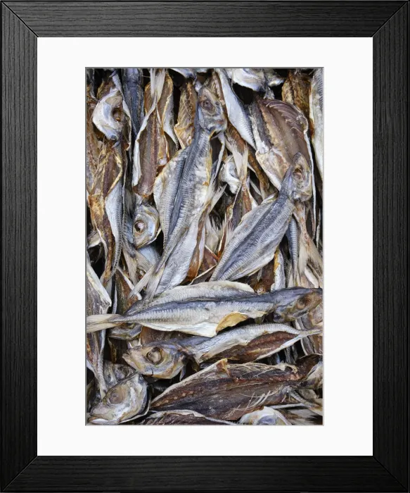Framed Print : Horse mackerel drying in the sun. Ericeira, Portugal Framed Print : Horse mackerel drying in the sun. Ericeira, Portugal