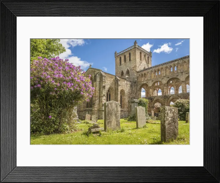 Framed Print : Ruin of Jedburgh Abbey, Jedburgh, Scotish Borders, Scotland, Great Britain Framed Print : Ruin of Jedburgh Abbey, Jedburgh, Scotish Borders, Scotland, Great Britain