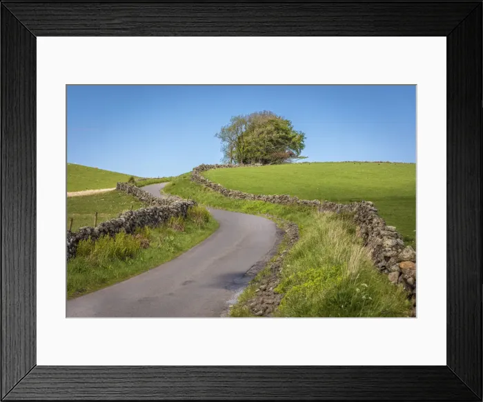 Framed Print : Country road through the pasture and moorland south of Stirling, Stirling, Scotland Framed Print : Country road through the pasture and moorland south of Stirling, Stirling, Scotland