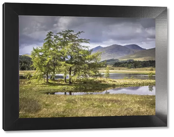 Tree island in Loch Tulla on the south edge of Rannoch Moor, Aryll and Bute, Scotland