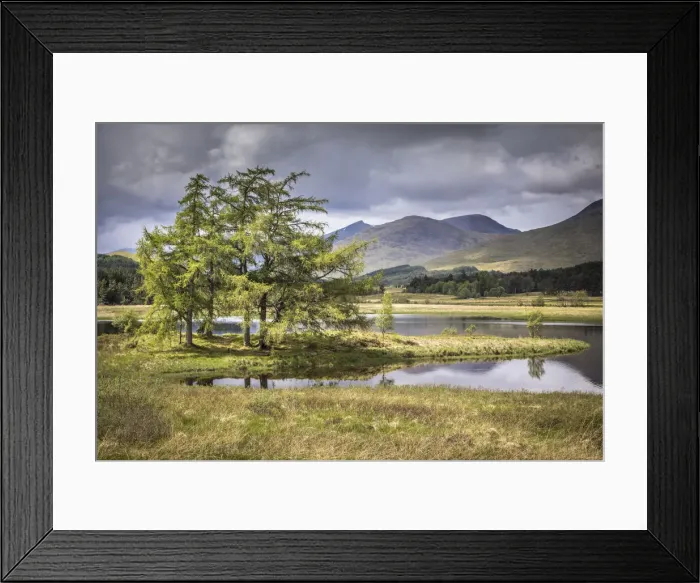 Framed Print : Tree island in Loch Tulla on the south edge of Rannoch Moor, Aryll and Bute, Scotland Framed Print : Tree island in Loch Tulla on the south edge of Rannoch Moor, Aryll and Bute, Scotland