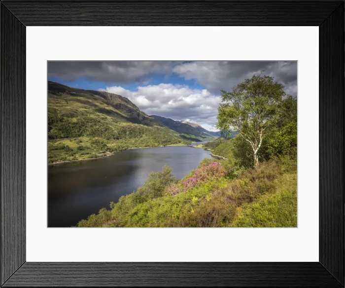 Framed Print : Lookout above Loch Leven looking east, Kinlochleven, Highlands, Scotland, Great Britain Framed Print : Lookout above Loch Leven looking east, Kinlochleven, Highlands, Scotland, Great Britain
