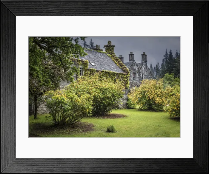 Framed Print : Rhododendrons in the park of the Ardanaiseig Castle Hotel, Kilchrenan, Aryll and Bute Framed Print : Rhododendrons in the park of the Ardanaiseig Castle Hotel, Kilchrenan, Aryll and Bute