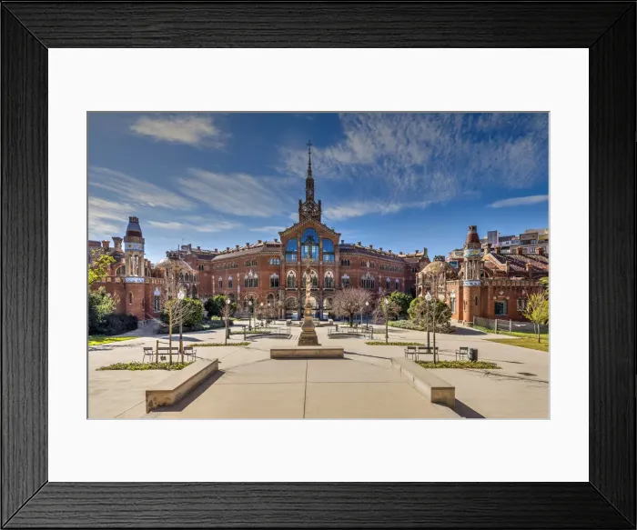 Framed Print : Hospital de la Santa Creu i Sant Pau (Hospital of the Holy Cross and Saint Paul) Framed Print : Hospital de la Santa Creu i Sant Pau (Hospital of the Holy Cross and Saint Paul)