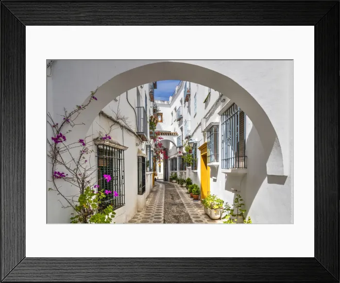 Framed Print : Picturesque cobbled alley with whitewashed houses and flowers, Cordoba, Andalusia, Spain Framed Print : Picturesque cobbled alley with whitewashed houses and flowers, Cordoba, Andalusia, Spain