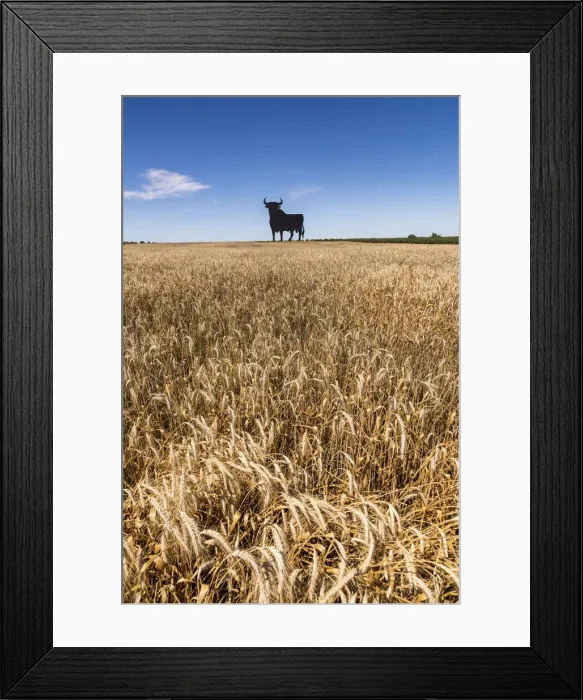 Framed Print : Scenic landscape with a silhouetted image of an Osborne bull billboard in rural Andalusia
