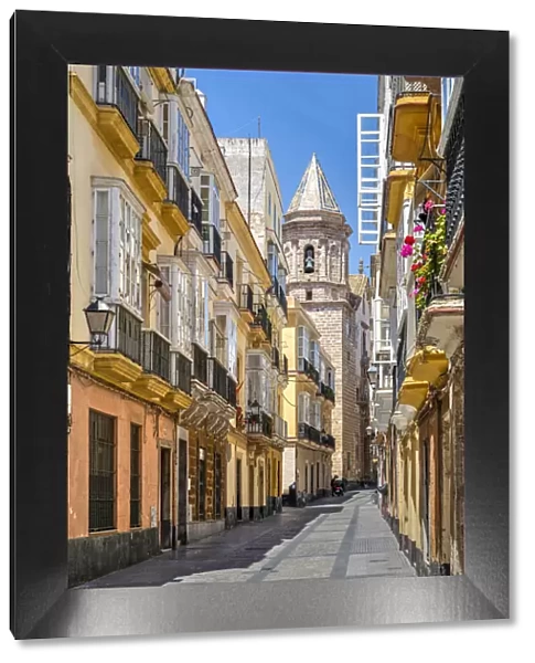 Picturesque street scene in the old town, Cadiz, Andalusia, Spain