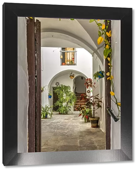 Typical patio or courtyard of Andalusian house, Vejer de la Frontera, Andalusia, Spain