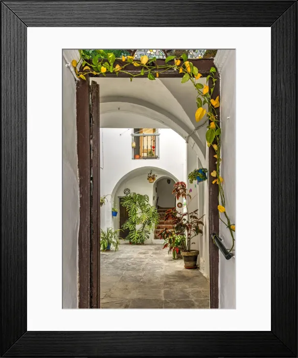 Framed Print : Typical patio or courtyard of Andalusian house, Vejer de la Frontera, Andalusia, Spain Framed Print : Typical patio or courtyard of Andalusian house, Vejer de la Frontera, Andalusia, Spain