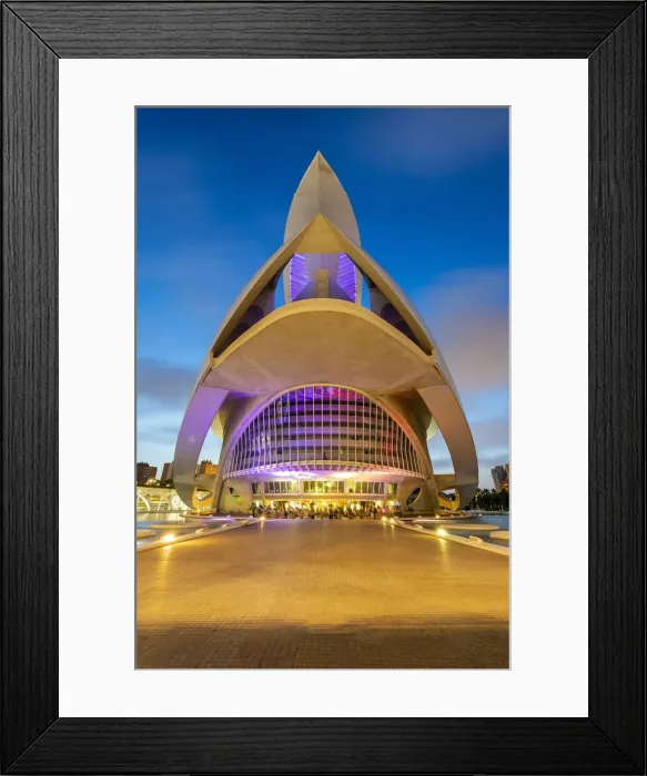 Framed Print : Palau de les arts Reina Sofia opera house, City of Arts and Sciences Framed Print : Palau de les arts Reina Sofia opera house, City of Arts and Sciences