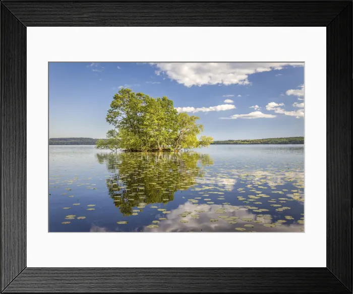 Framed Print : Tree island in Lake Malaren in Sigtuna, Stockholm County, Sweden Framed Print : Tree island in Lake Malaren in Sigtuna, Stockholm County, Sweden