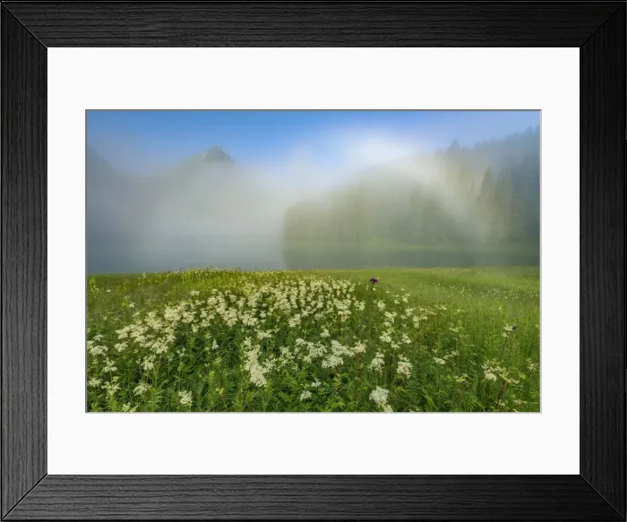 Framed Print : Switzerland, St. Gallen, Grabs, Voralp Framed Print : Switzerland, St. Gallen, Grabs, Voralp