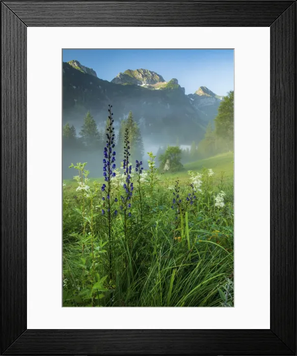 Framed Print : Switzerland, St. Gallen, Grabs, Voralp, Voralpsee Framed Print : Switzerland, St. Gallen, Grabs, Voralp, Voralpsee