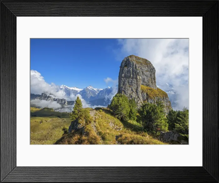 Framed Print : Tuba mountain with Wetterhorn and Fiescherhorn, Schynige Platte, Grindelwald Framed Print : Tuba mountain with Wetterhorn and Fiescherhorn, Schynige Platte, Grindelwald