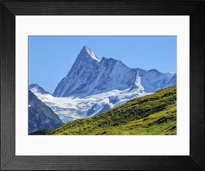 Framed Print : Finsteraarhorn, Grindelwald, Berner Oberland, Canton Berne, Switzerland Framed Print : Finsteraarhorn, Grindelwald, Berner Oberland, Canton Berne, Switzerland