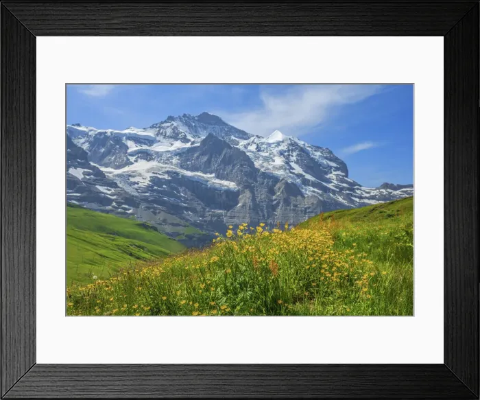 Framed Print : Kleine Scheidegg with Jungfrau, Bernese Alps, Berner Oberland, Grindelwald, canton Berne Framed Print : Kleine Scheidegg with Jungfrau, Bernese Alps, Berner Oberland, Grindelwald, canton Berne