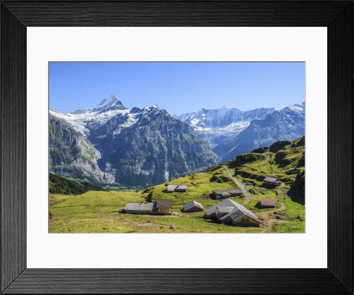 Framed Print : Bachlager Alp near First with Schreckhorn and Fiescherhorn, Grindelwald, Berner Oberland Framed Print : Bachlager Alp near First with Schreckhorn and Fiescherhorn, Grindelwald, Berner Oberland