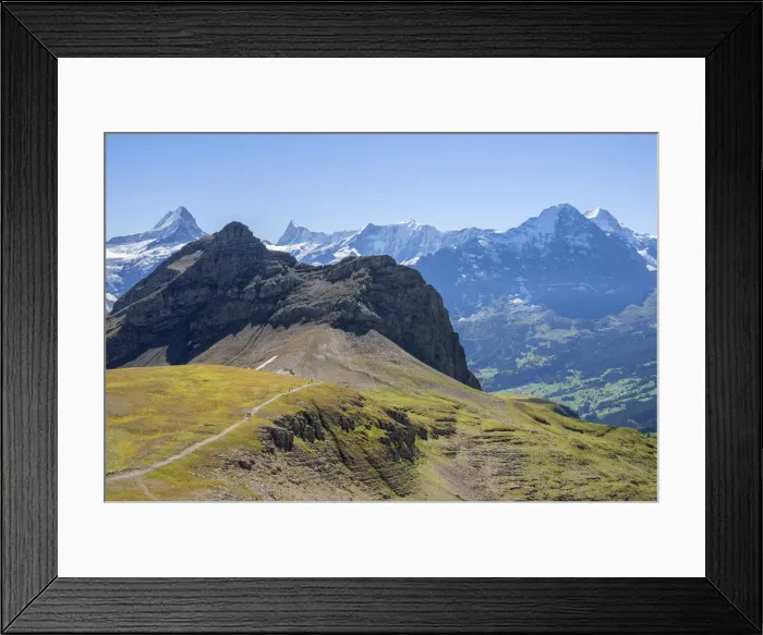 Framed Print : Schreckhorn, Finsteraarhorn, Fiescherhorn, Eiger and Monch seen from Faulhorn, Grindelwald, Berner Oberland, Canton Berne, Switzerland Framed Print : Schreckhorn, Finsteraarhorn, Fiescherhorn, Eiger and Monch seen from Faulhorn, Grindelwald, Berner Oberland, Canton Berne, Switzerland