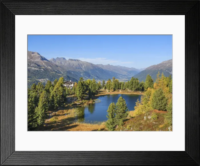 Framed Print : Hahnensee at Fall, Silvaplana, Bernina mountain range, Upper Engadin, Grisons (Graubunden), Switzerland Framed Print : Hahnensee at Fall, Silvaplana, Bernina mountain range, Upper Engadin, Grisons (Graubunden), Switzerland