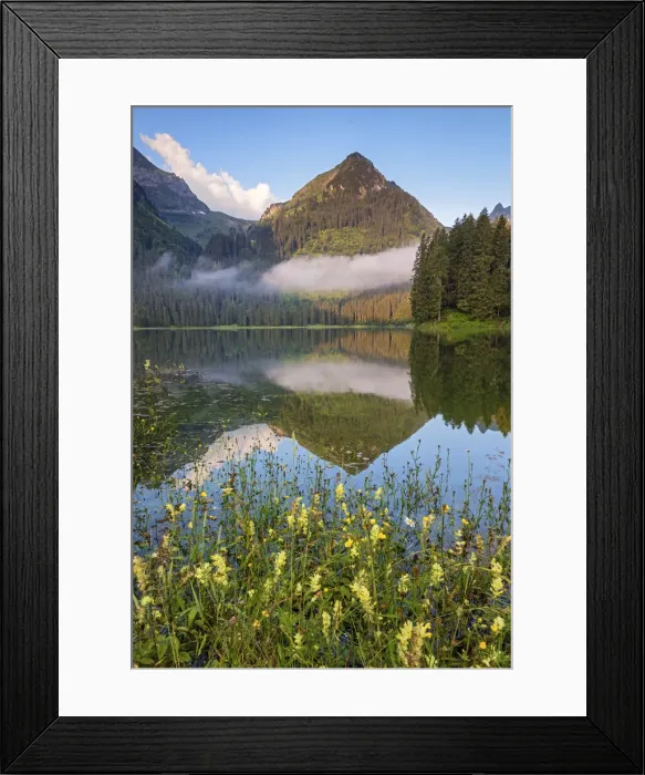 Framed Print : Switzerland, Canton St. Gallen, Rheintal
