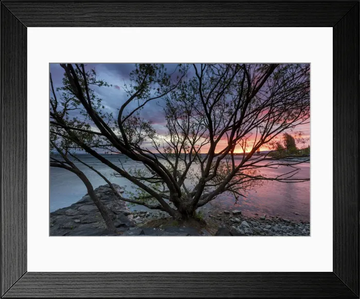 Framed Print : Switzerland, Canton St. Gallen, Bodensee, Fohnstimmung
