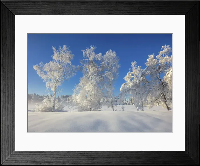 Framed Print : Switzerland, Canton St. Gallen, Naturschutzgebiet Framed Print : Switzerland, Canton St. Gallen, Naturschutzgebiet