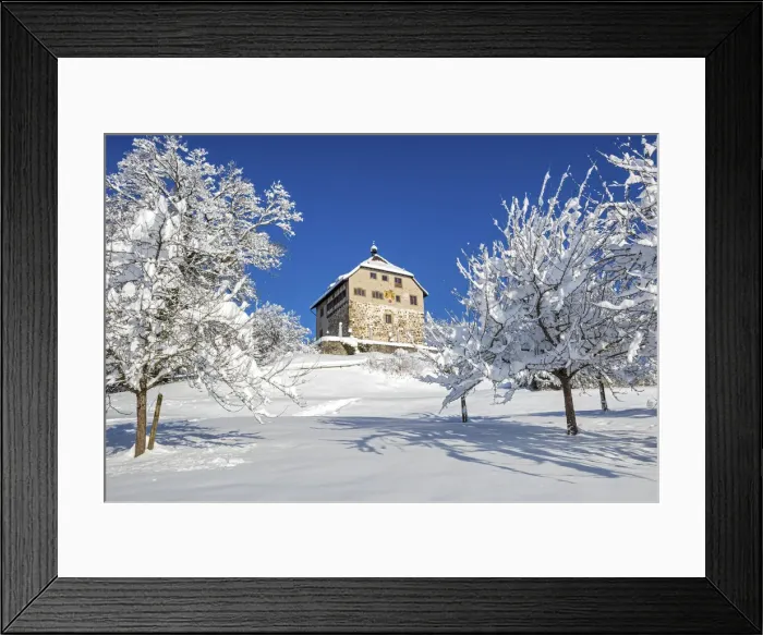 Framed Print : Switzerland, Canton St. Gallen, Oberberg Castle Framed Print : Switzerland, Canton St. Gallen, Oberberg Castle