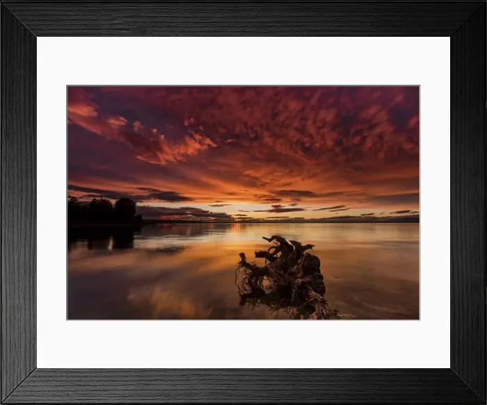Framed Print : Switzerland, Canton St. Gallen, Bodensee, Abendstimmung Framed Print : Switzerland, Canton St. Gallen, Bodensee, Abendstimmung
