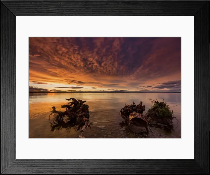 Framed Print : Switzerland, Canton St. Gallen, Bodensee, Abendstimmung Framed Print : Switzerland, Canton St. Gallen, Bodensee, Abendstimmung