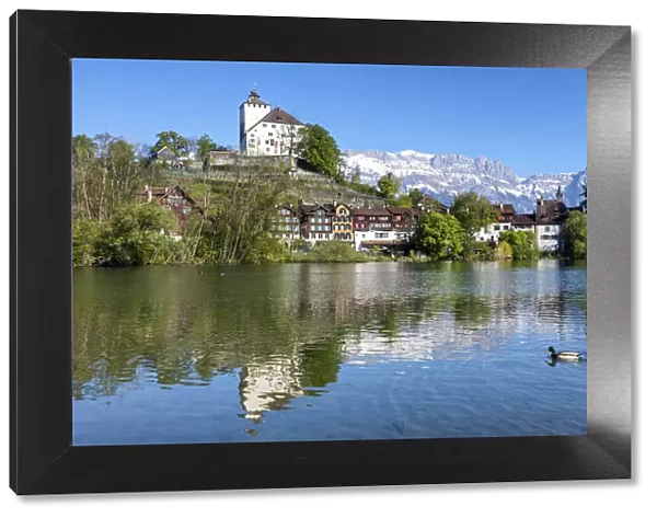 Switzerland, Canton St. Gallen, Rheintal, Schloss