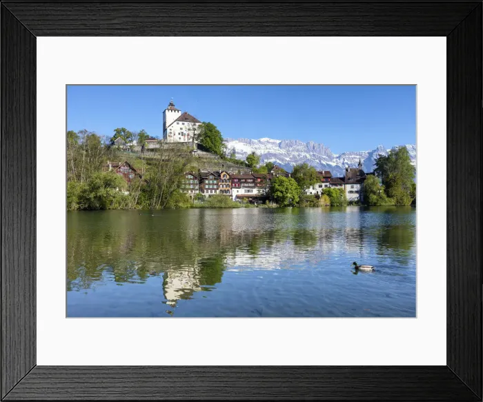 Framed Print : Switzerland, Canton St. Gallen, Rheintal, Schloss Framed Print : Switzerland, Canton St. Gallen, Rheintal, Schloss