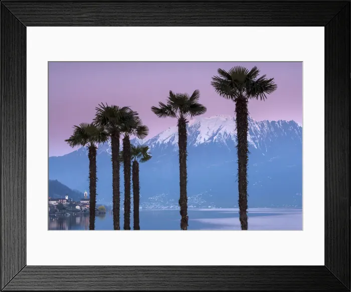 Framed Print : Switzerland, Ticino Canton, Magadino Framed Print : Switzerland, Ticino Canton, Magadino