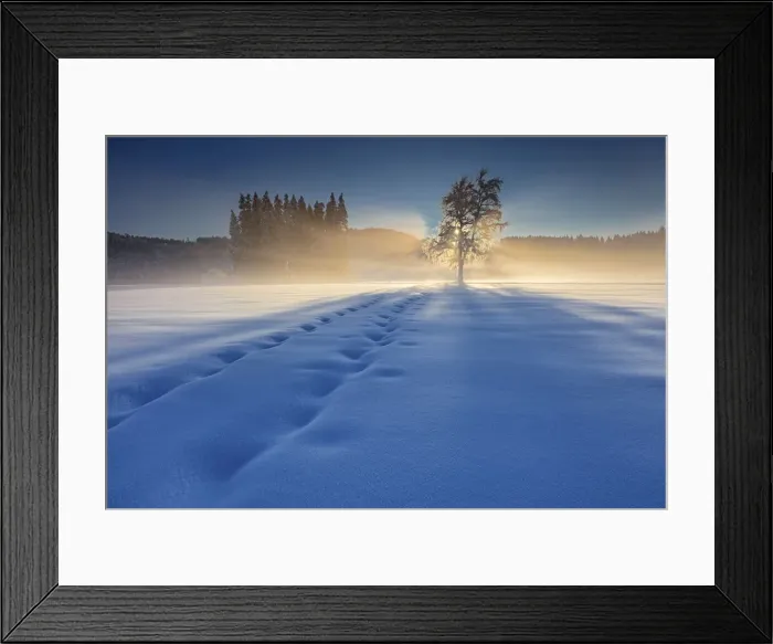 Framed Print : Switzerland, Canton St. Gallen, Naturschutzgebiet