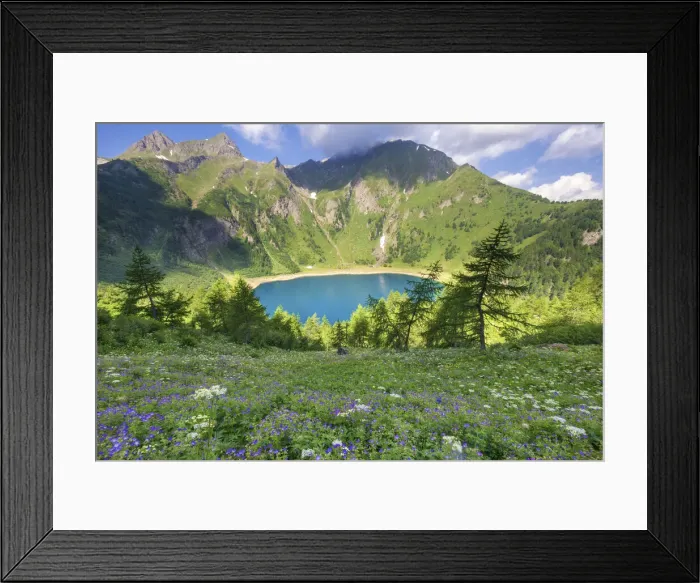 Framed Print : Switzerland, Ticino Canton, Leventina Framed Print : Switzerland, Ticino Canton, Leventina