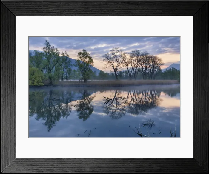 Framed Print : Switzerland, Ticino Canton, Bolle di Magadino Framed Print : Switzerland, Ticino Canton, Bolle di Magadino