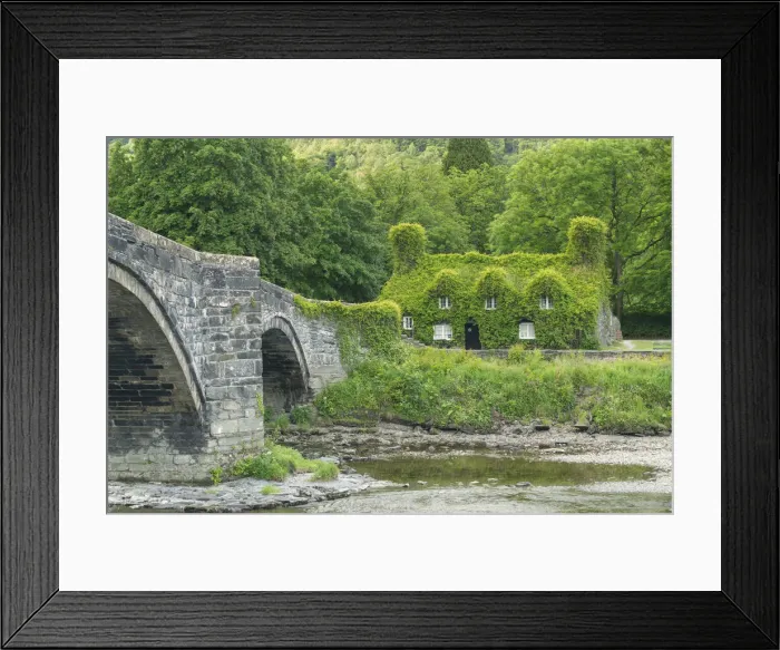 Framed Print : Ivy-covered Cottage Tearoom & Bridge, Llanwrst, Conwy, Wales Framed Print : Ivy-covered Cottage Tearoom & Bridge, Llanwrst, Conwy, Wales