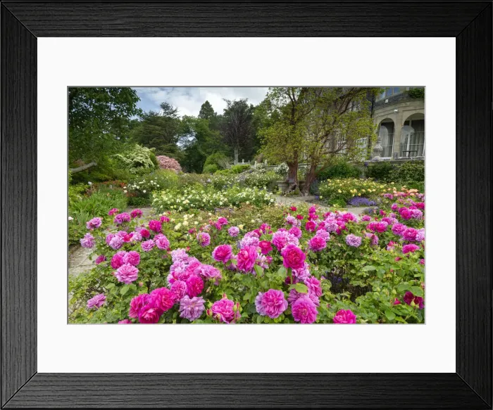 Framed Print : Bodnant Gardens, near Tal-y-Cafn, Conwy, Wales