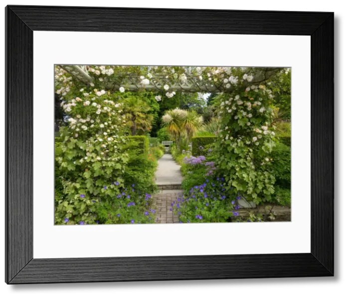 Framed Print : Garden Path, Bodnant Gardens, near Tal-y-Cafn, Conwy, Wales
