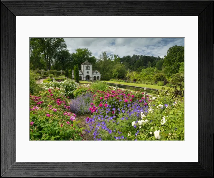 Framed Print : Roses & The Pin Mill, Bodnant Gardens, near Tal-y-Cafn, Conwy, Wales Framed Print : Roses & The Pin Mill, Bodnant Gardens, near Tal-y-Cafn, Conwy, Wales