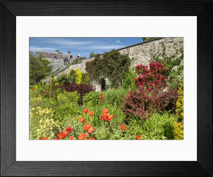 Framed Print : Walled Garden, Bodnant Gardens, near Tal-y-Cafn, Conwy, Wales Framed Print : Walled Garden, Bodnant Gardens, near Tal-y-Cafn, Conwy, Wales