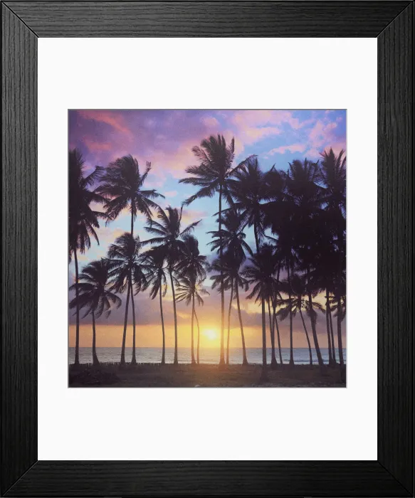 Framed Print : Tanzania. Zanzibar, Jambiani, Jambani Beach and Coconut Plantation Framed Print : Tanzania. Zanzibar, Jambiani, Jambani Beach and Coconut Plantation