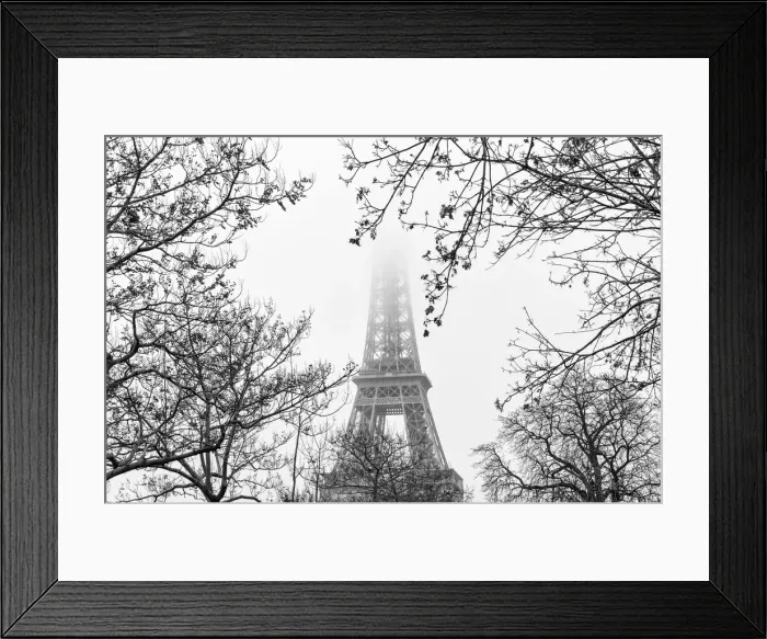Framed Print : The Eiffel Tower in fog, Paris, France