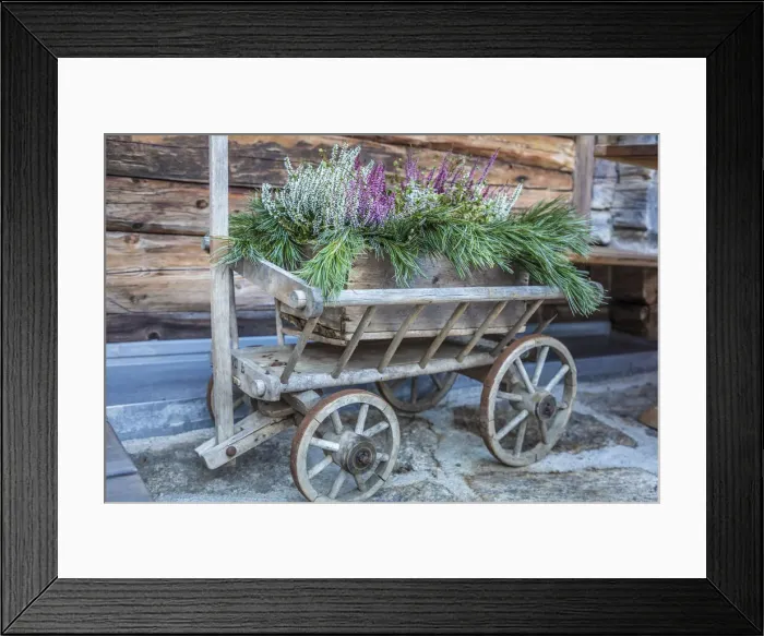 Framed Print : Old handcart on the farm Alberhof in Kalkstein, Innervillgraten, Villgraten valley Framed Print : Old handcart on the farm Alberhof in Kalkstein, Innervillgraten, Villgraten valley