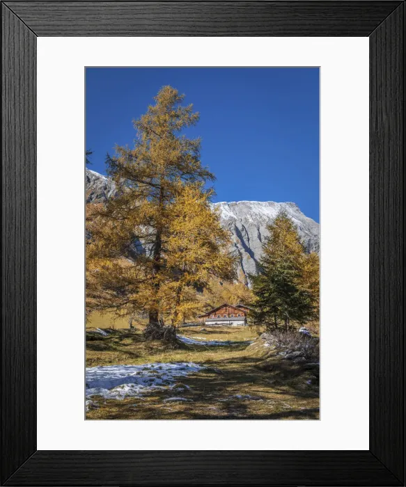 Framed Print : Path through the old larch forest in Koednitztal, Kals am Grossglockner, East Tyrol, Austria Framed Print : Path through the old larch forest in Koednitztal, Kals am Grossglockner, East Tyrol, Austria