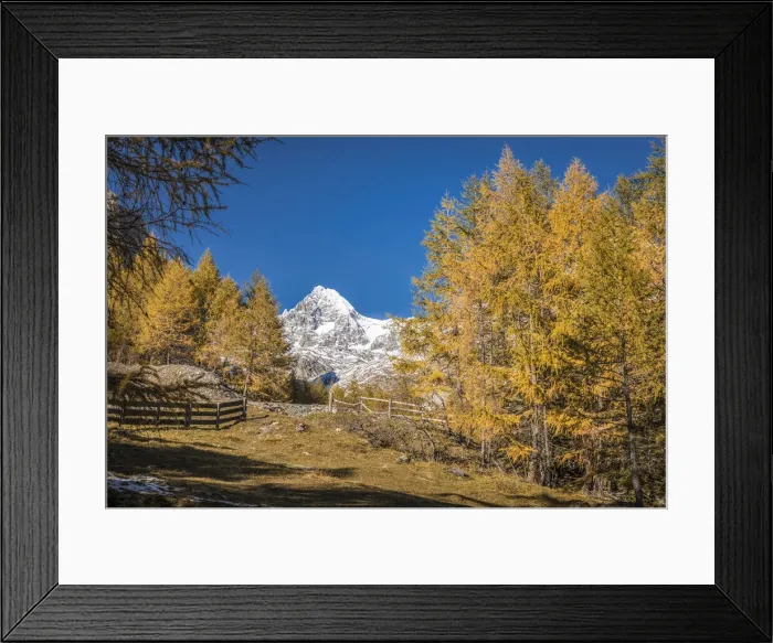 Framed Print : Autumn larch forest in Koednitztal with Grossglockner (3, 798 m), Kals am Grossglockner, East Tyrol, Austria Framed Print : Autumn larch forest in Koednitztal with Grossglockner (3, 798 m), Kals am Grossglockner, East Tyrol, Austria
