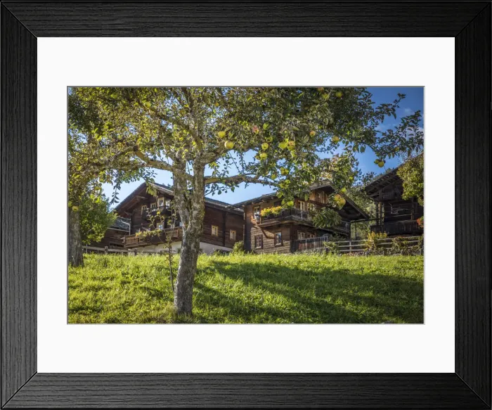 Framed Print : Orchard in the village center of Obermauern, Virgen valley, East Tyrol, Austria Framed Print : Orchard in the village center of Obermauern, Virgen valley, East Tyrol, Austria